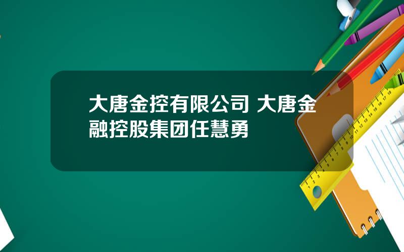 大唐金控有限公司 大唐金融控股集团任慧勇